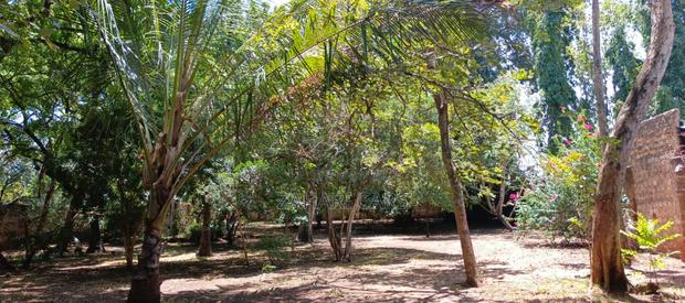 1 Acre Property for Sale - thumbnail 8