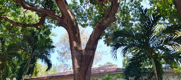 1 Acre Property for Sale - thumbnail 10