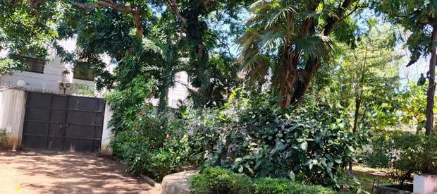 1 Acre Property for Sale - thumbnail 11