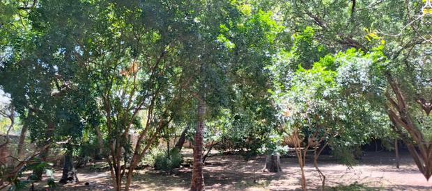 1 Acre Property for Sale - thumbnail 14