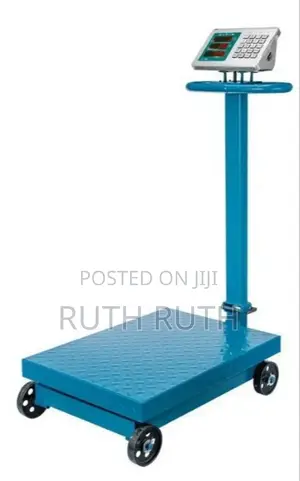 500kg Platform Weighing Scale