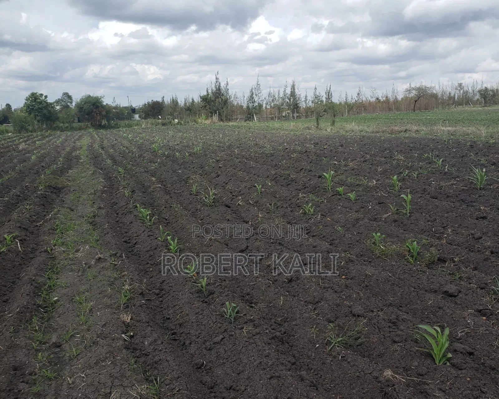 Land for Sale Kyumbi Junction