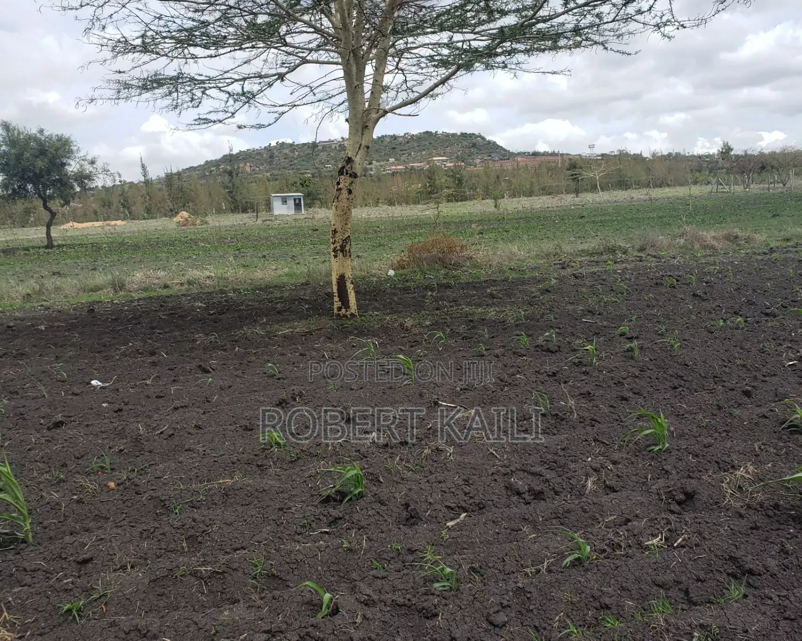 Land for Sale Kyumbi Junction