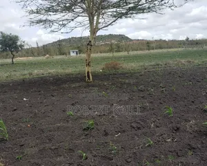 Land for Sale Kyumbi Junction