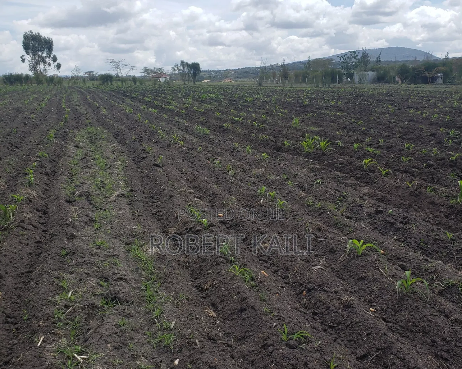 Land for Sale Kyumbi Junction