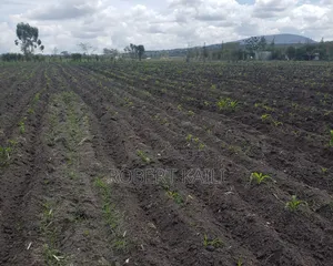 Land for Sale Kyumbi Junction