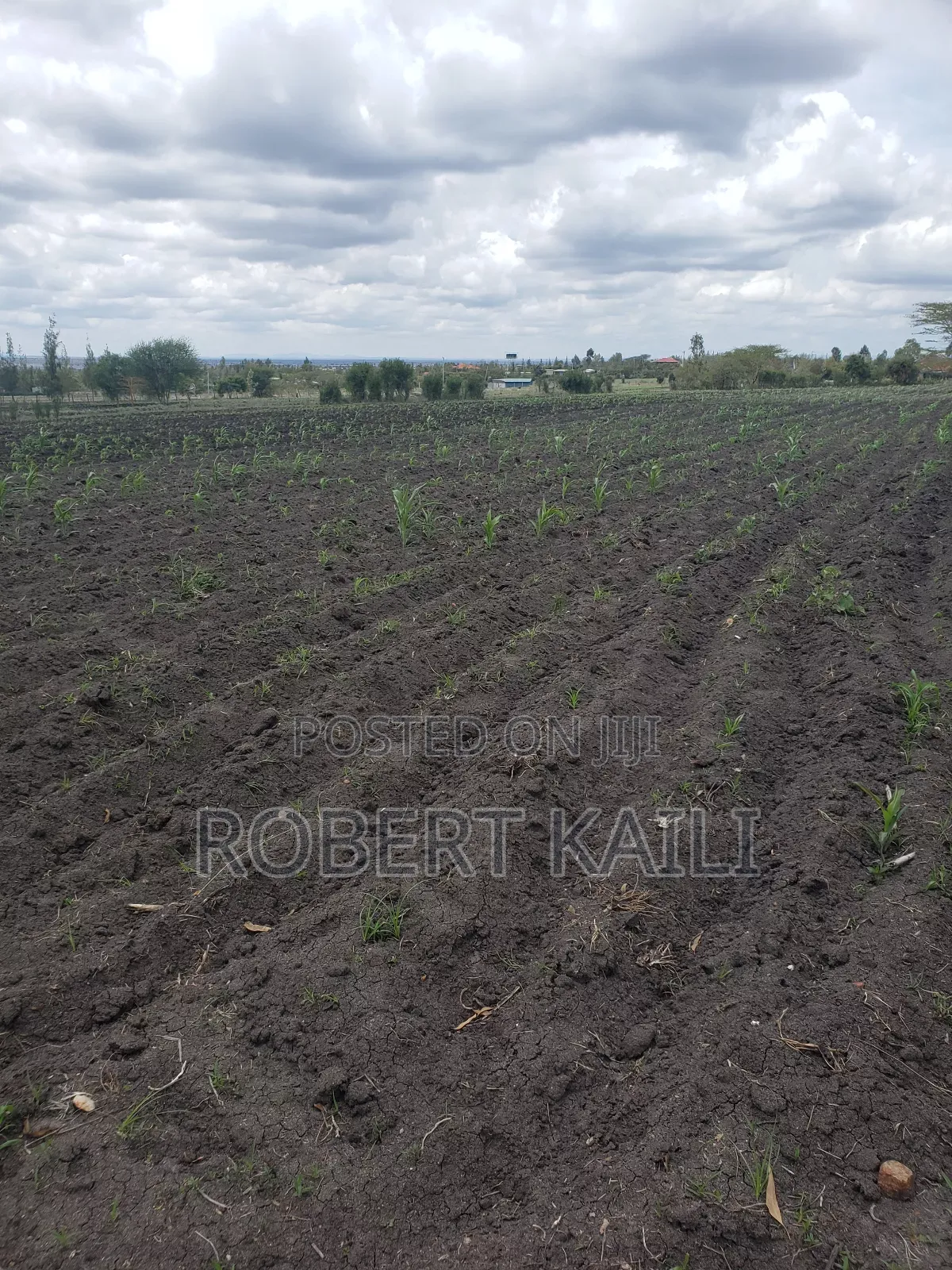 Land for Sale Kyumbi Junction