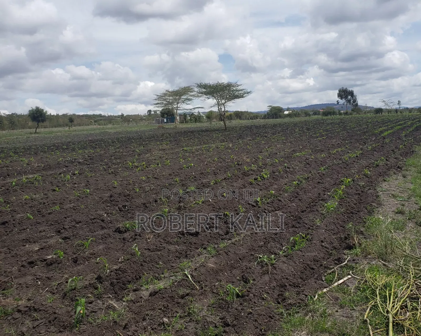 Land for Sale Kyumbi Junction