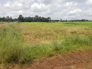3acre Nyandarua Leshau( Nyahururu Nyeri Rd "Maili Nne" 1.08m