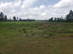 3acre Nyandarua Leshau( Nyahururu Nyeri Rd "Maili Nne" 1.08m