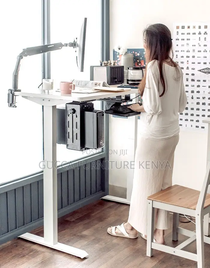 Standing Desk:1200mm Imported Electric Sit Stand Office Desk