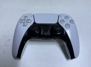 Well Used Dualsense 5 Controller
