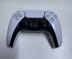 Well Used Dualsense 5 Controller
