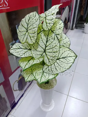 Artificial Plant With Vase