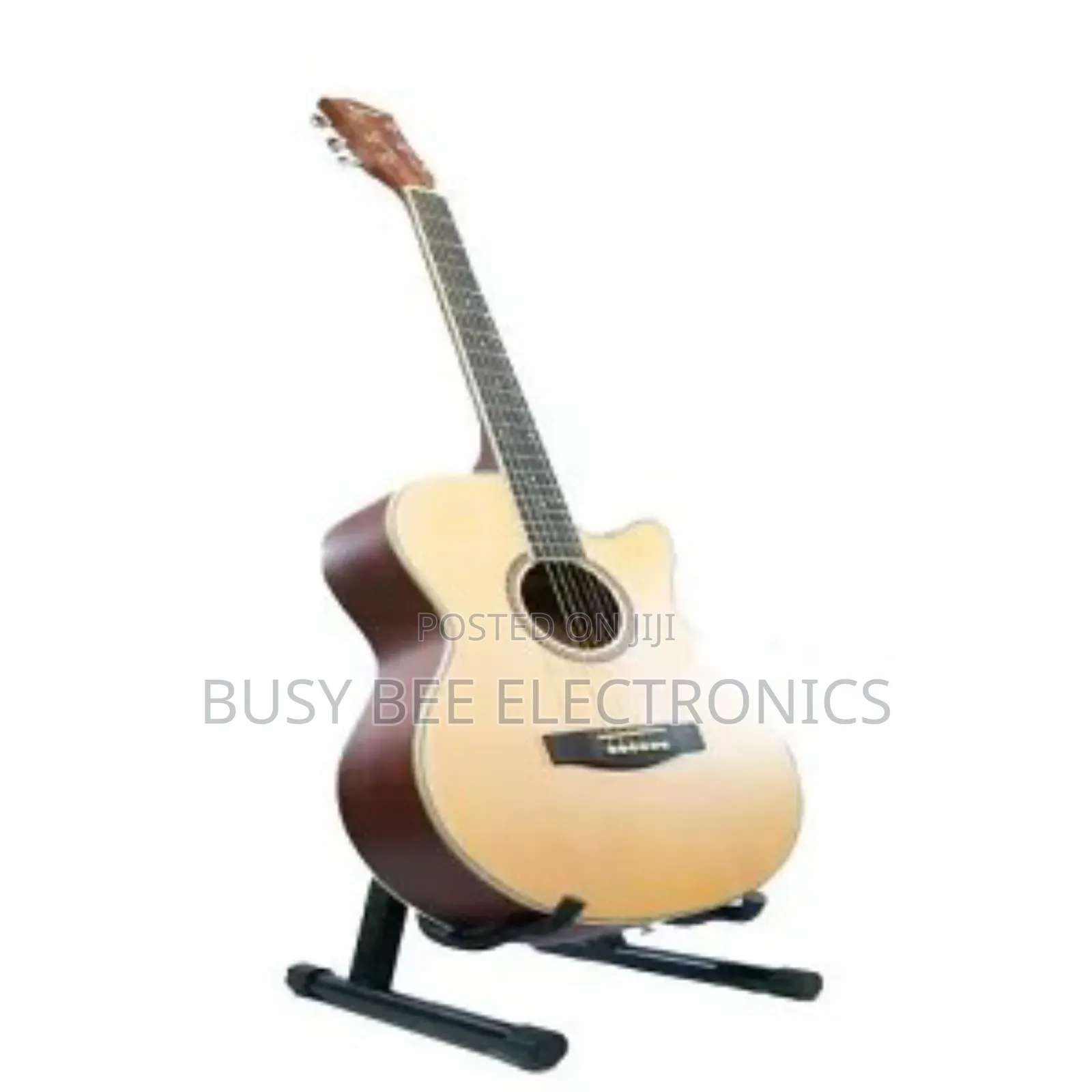 Ibanez Acoustic Guitar