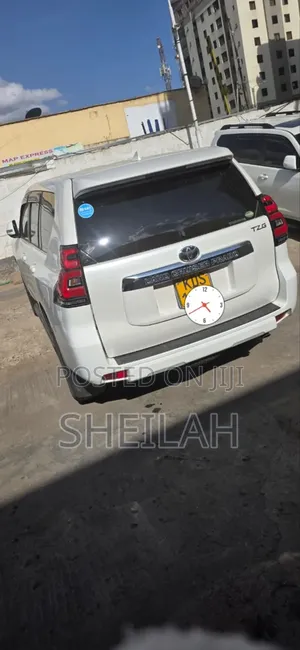 Land Cruiser TZG