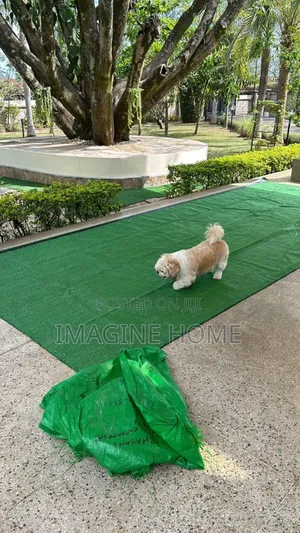 Out Compound Artificial Grass Carpet