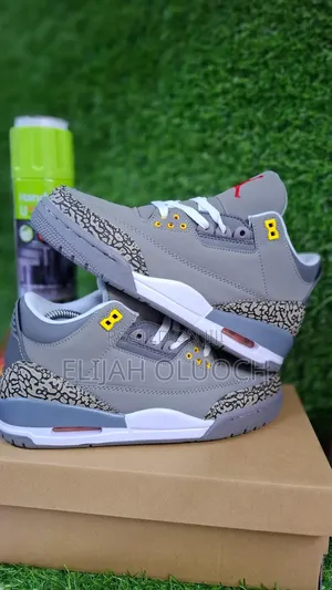 Jordan 3 Cool Grey Original