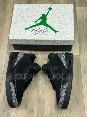 Air Jordan 3 Black Cat