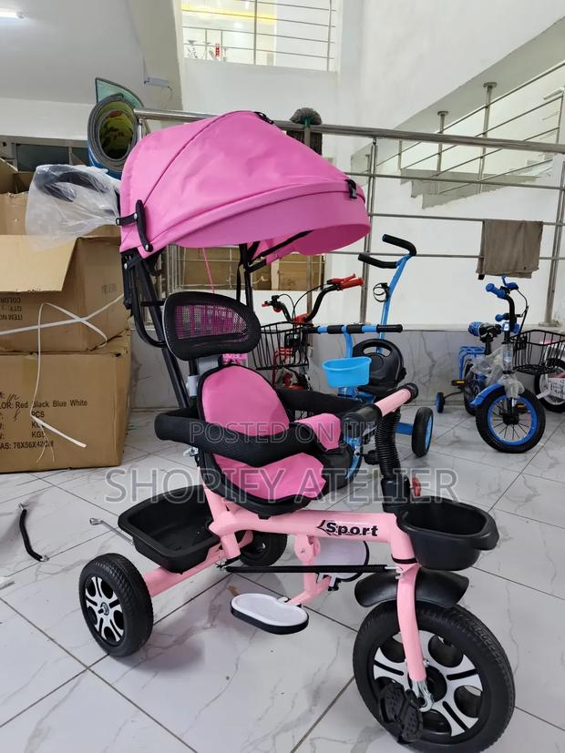 Kids Tricycle With Push Handle and Canopy - main view