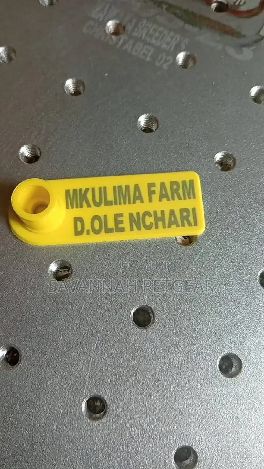 Customized Goat, Sheep Pig Ear Tags