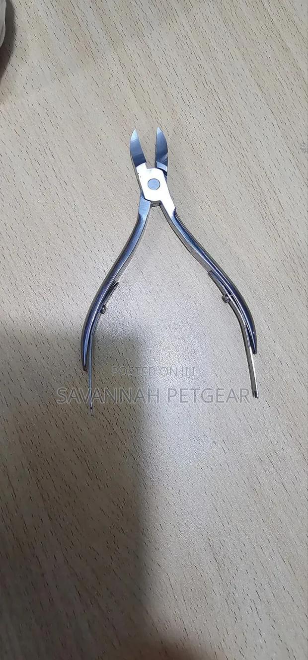 Premium Stainless Steel Pig Teeth Clipper