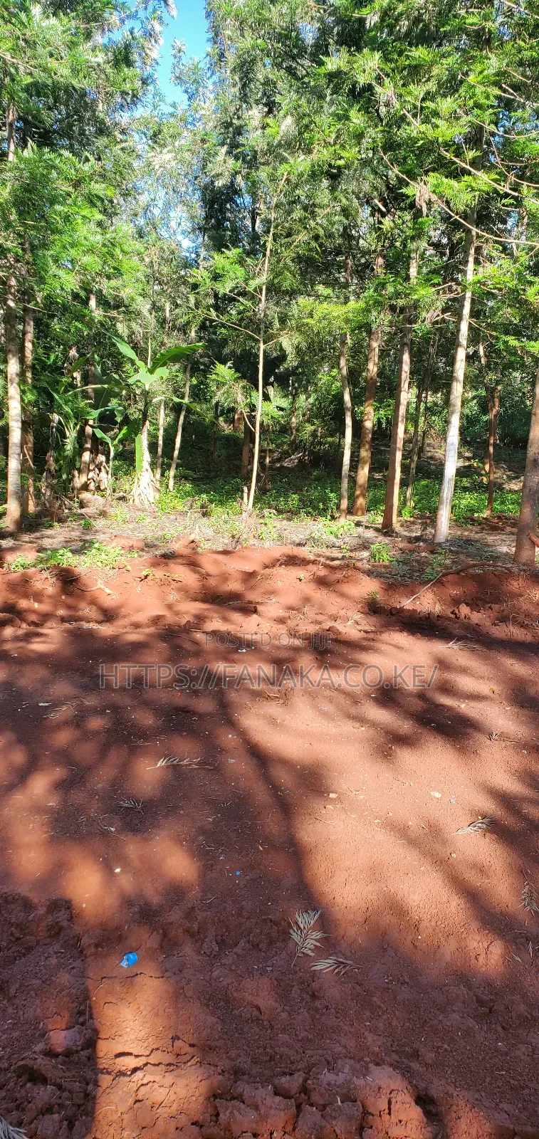 Residential Plots in Ruiru-Mugutha ^Pww