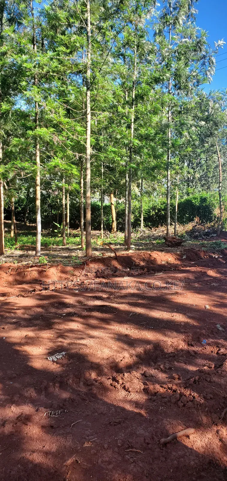 Residential Plots in Ruiru-Mugutha ^Pww