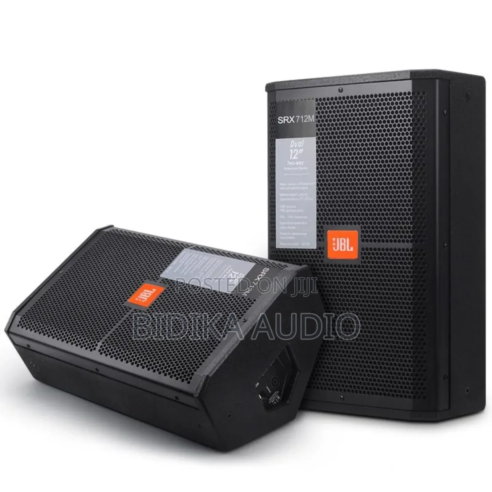 12′′ High-Power Two-Way Stage Monitor