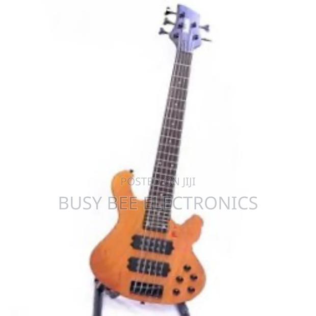 Ibanez Active - main view