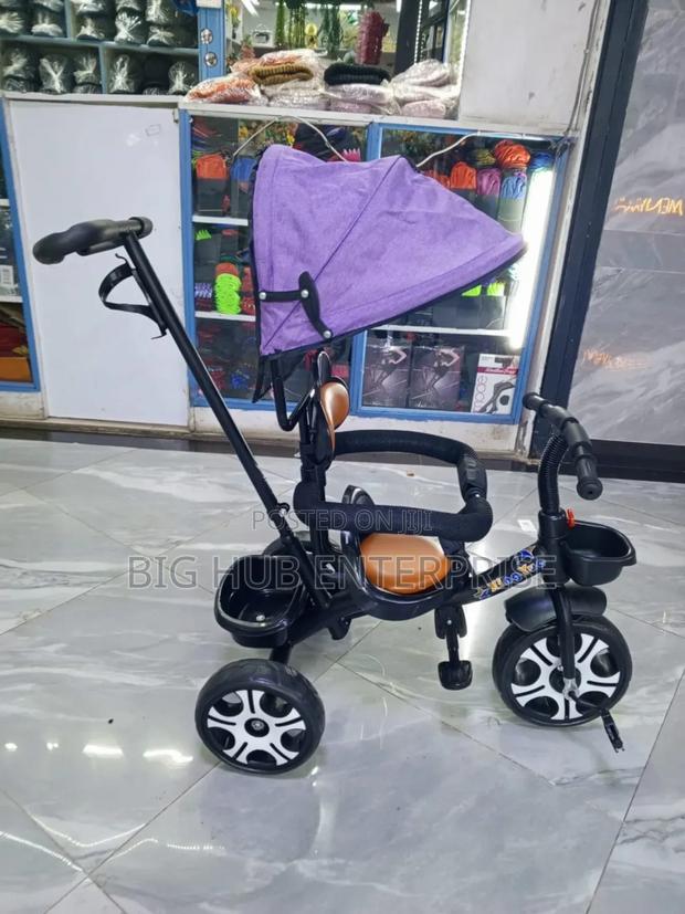 Push Tricycle With Detachable Handle/Canopy - main view