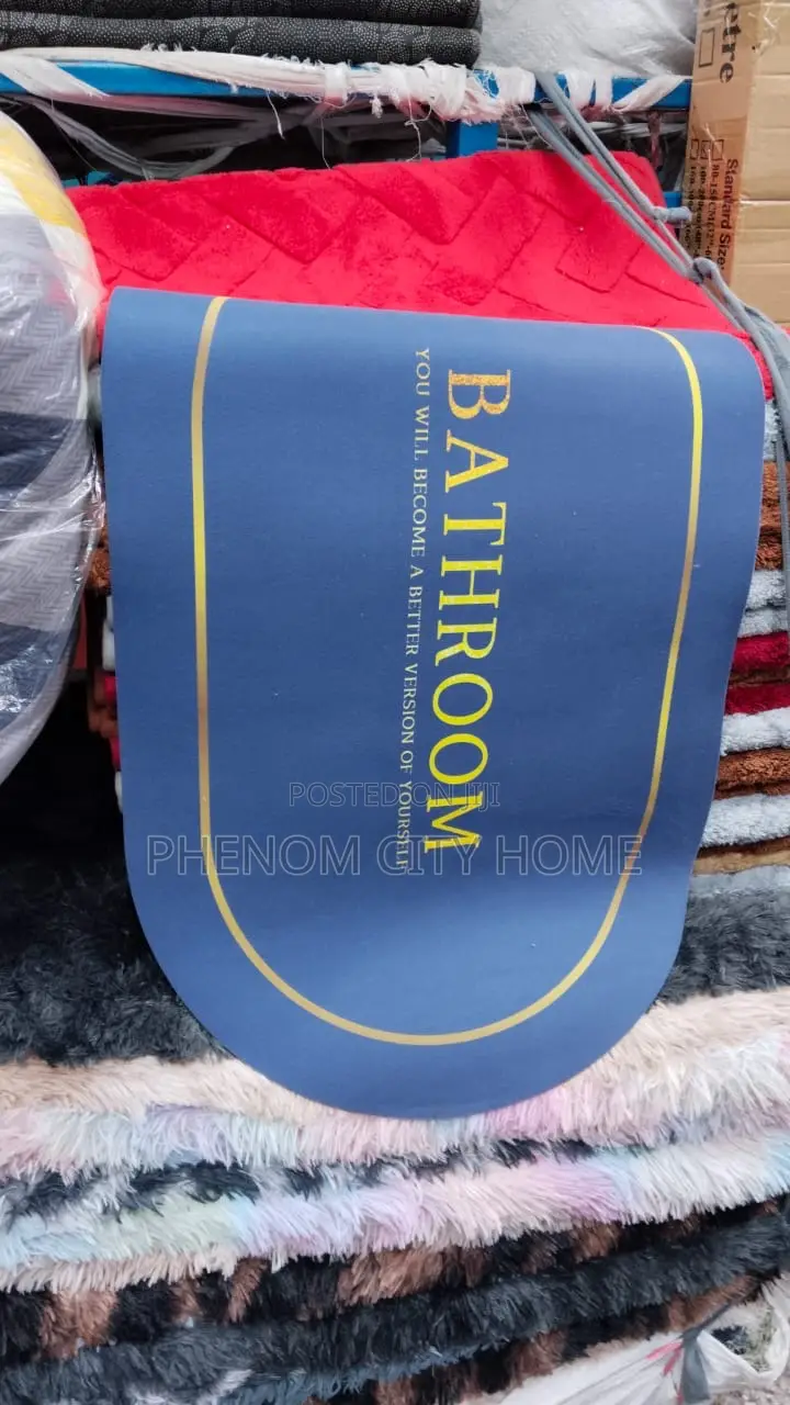 Luxurious Blue Absorbent Door Mat