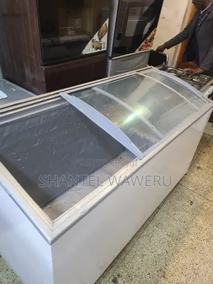 Big Glass Freezer 600litres