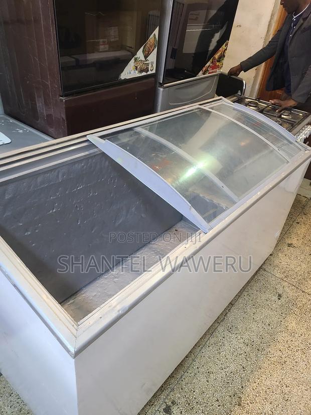 Big Glass Freezer 600litres - main view
