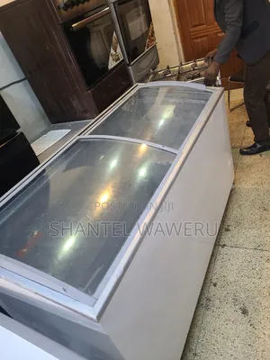 Big Glass Freezer 600litres