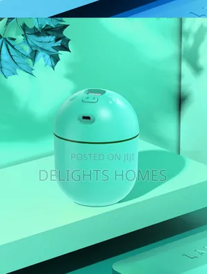Piggy Air Humidifier