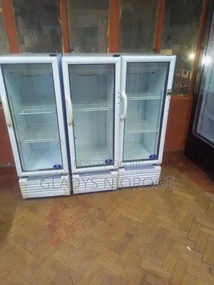 Sanden Intercool Display Fridge