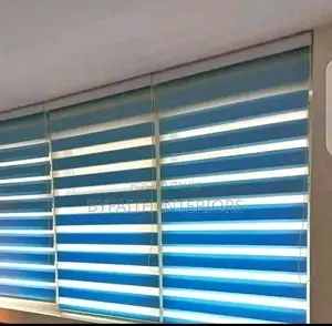 Blue Zebra Blinders