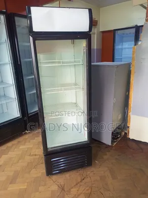 Quality Display Fridge 400l