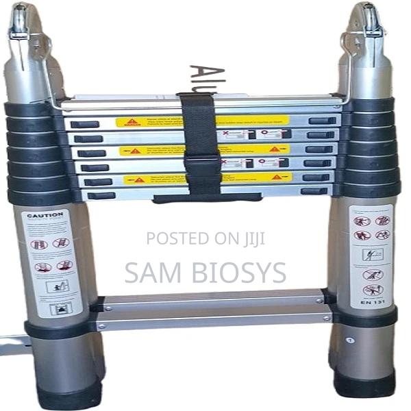 Telescopic Aluminum Ladder5m=(2.5m+2.5)