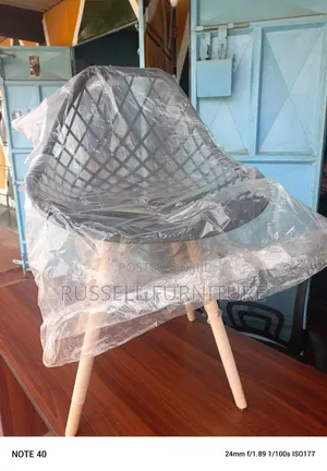 Imported New Eames Chair
