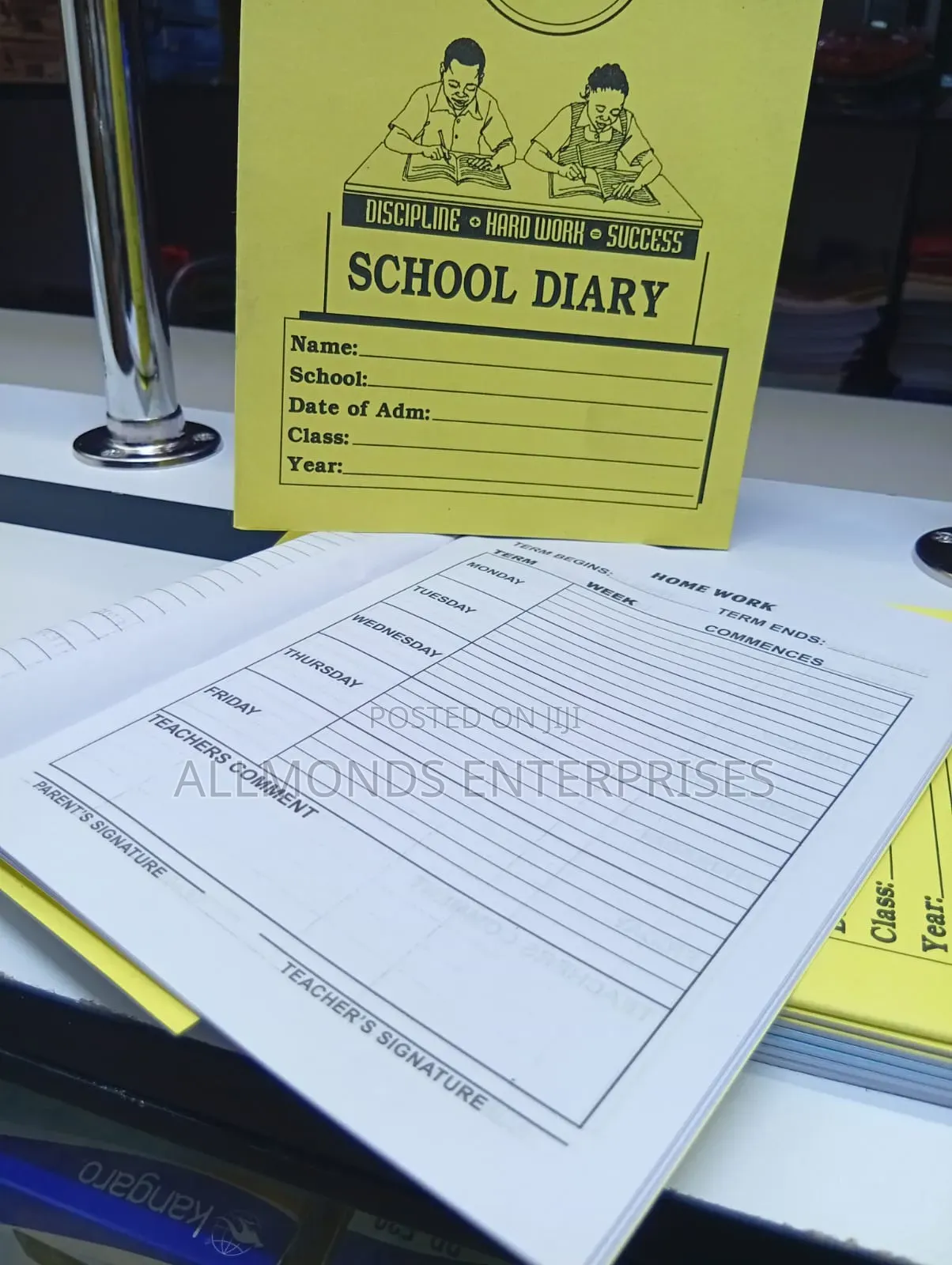 A5 School Diary- Economics