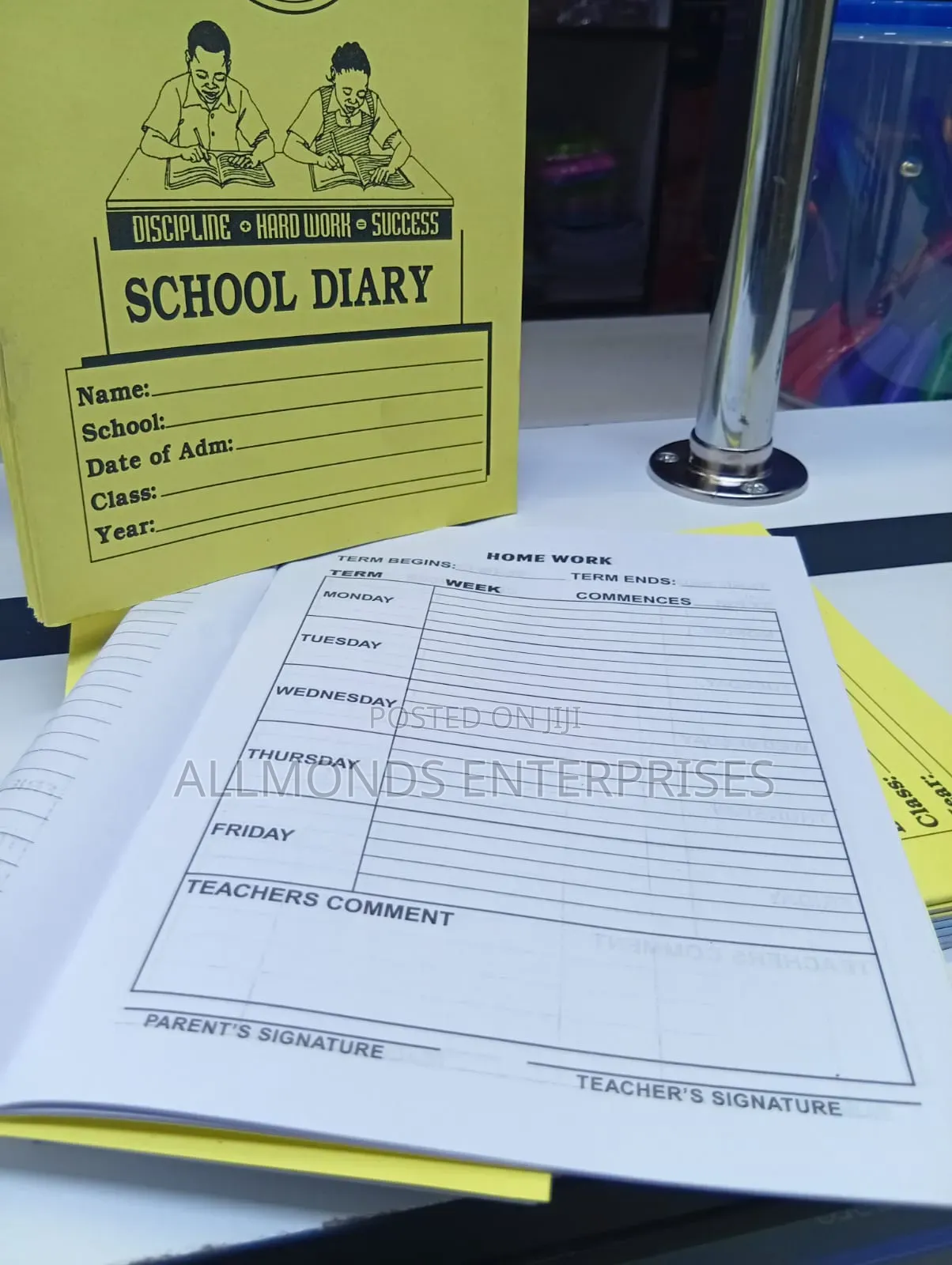 A5 School Diary- Economics