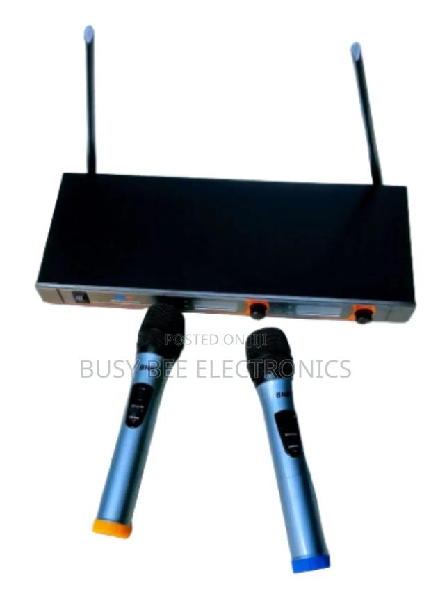 BNK Bk25 2 Wireless Microphone