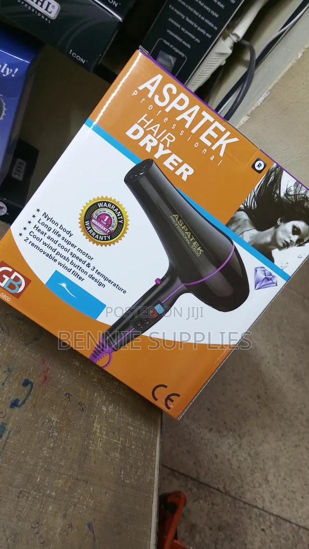 Professional Hair Dryer / Aspatek Blow _Dry