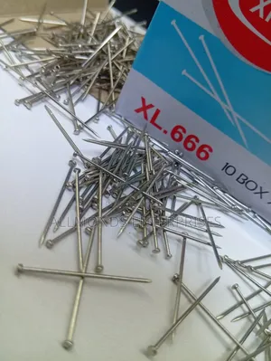 A Carton of Office Pins ( 10 Packets of 50g Each Inside)