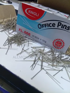 A Carton of Office Pins ( 10 Packets of 50g Each Inside)