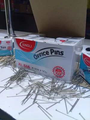 A Carton of Office Pins ( 10 Packets of 50g Each Inside)