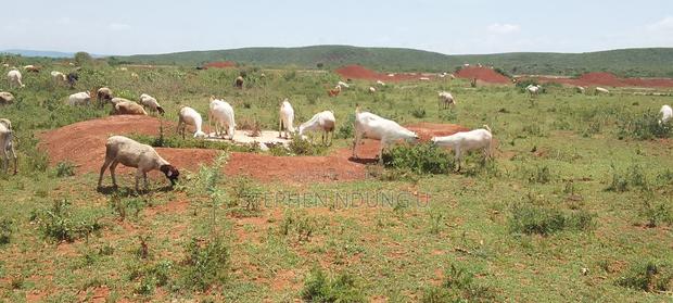 Prime Land for Sale - thumbnail 4