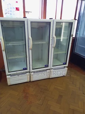 Smart and Neat Display Fridge 250l